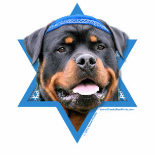 Hanukkah Star of David - Rottweiler Standing Photo Sculpture