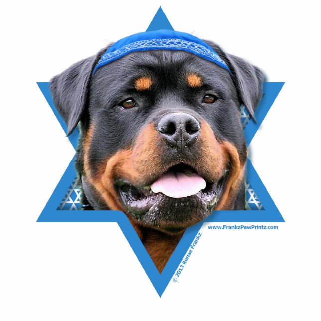 Hanukkah Star of David - Rottweiler Standing Photo Sculpture (Front)