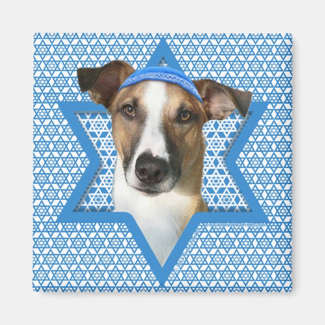 Hanukkah Star of David - Whollie - Coney Magnet (Front)