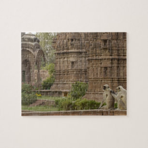 Hanuman Langurs or Black-faced, Common or Grey Jigsaw Puzzle