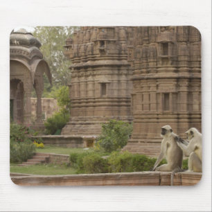 Hanuman Langurs or Black-faced, Common or Grey Mouse Mat