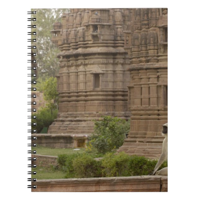 Hanuman Langurs or Black-faced, Common or Grey Notebook (Front)
