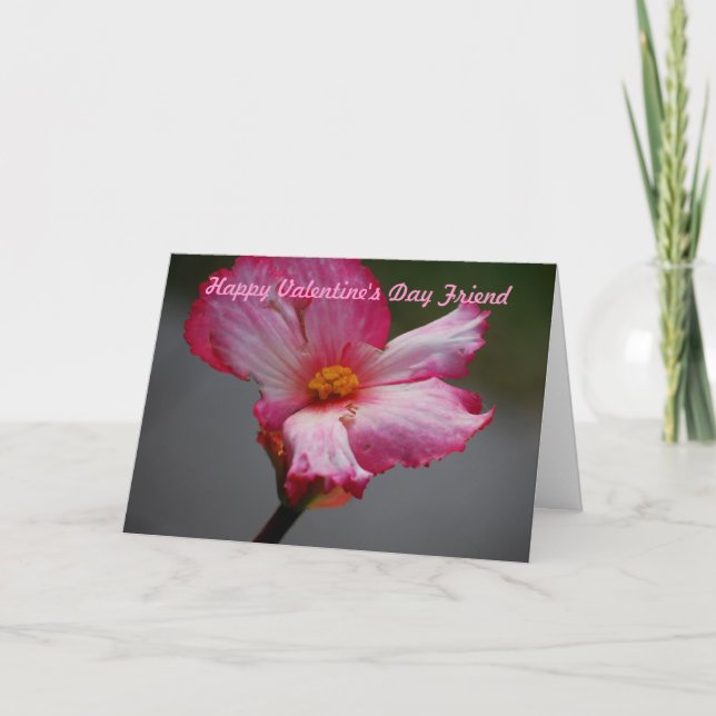 Haoppy Valentine's Day Friend Holiday Card (Front)
