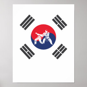 Hapkido Südkorea Flagge Kampfkunst Korea Poster