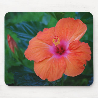 'Happening Hibiscus' Mousepad