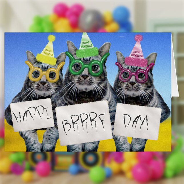 Happi Brrrf Day Kitty Trio (Creator Uploaded)