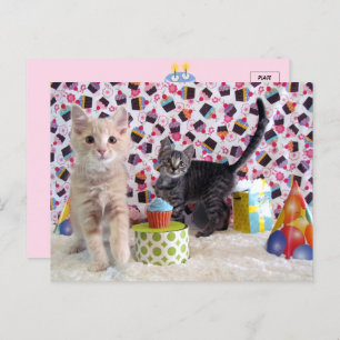 Happiest of Birthdays - Cat Postcard