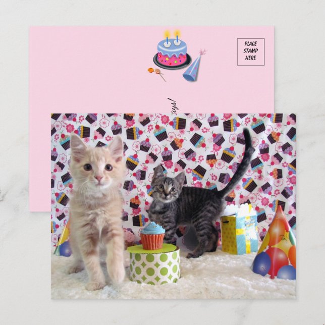 Happiest of Birthdays - Cat Postcard (Front/Back)
