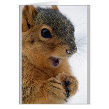 Happiest Squirrel Ever