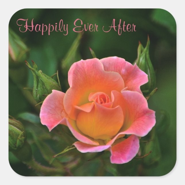 Happily Ever After Rose Square Sticker (Front)