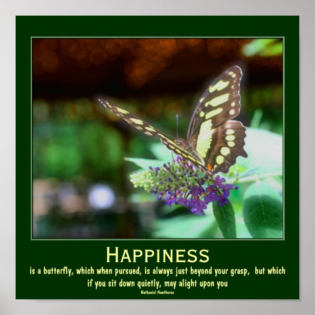 Happiness Butterfly Motivational Quote Poster (Front)