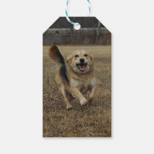 Happiness Gift Tags
