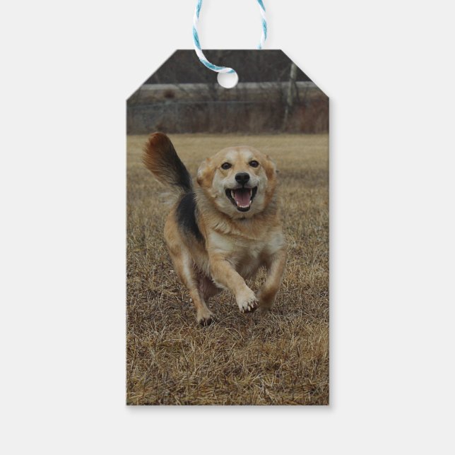 Happiness Gift Tags (Front)