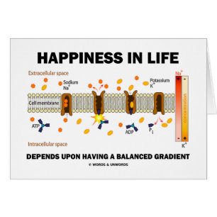 Happiness In Life Depends Upon Balanced Gradient