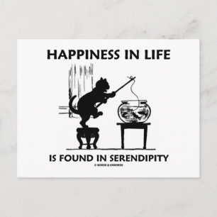 Happiness In Life Is Found In Serendipity (Cat) Postcard
