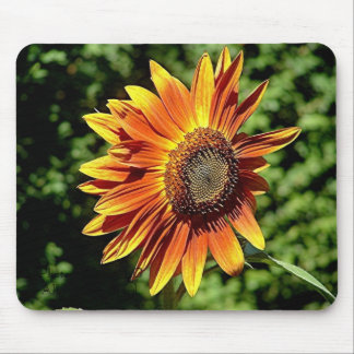 "Happiness in Orange" Mouse Mat