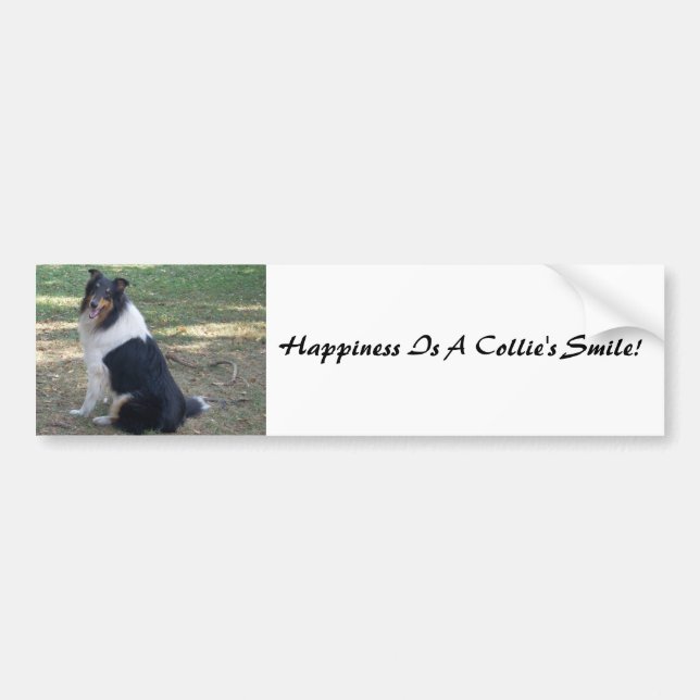 Happiness Is A Collie's Smile! Bumper Sticker (Front)