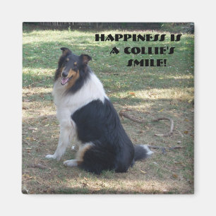 Happiness Is A Collie's Smile Magnet