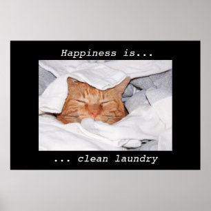 Happiness is clean laundry poster