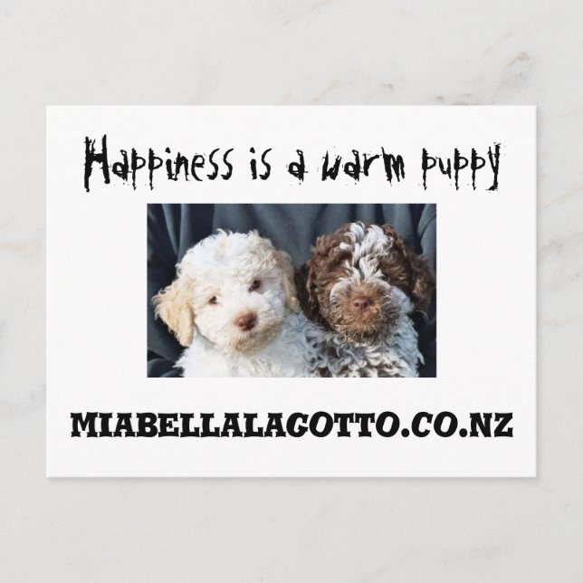 Happiness is ... postcard (Front)
