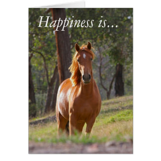 Happiness is spending time with your horse