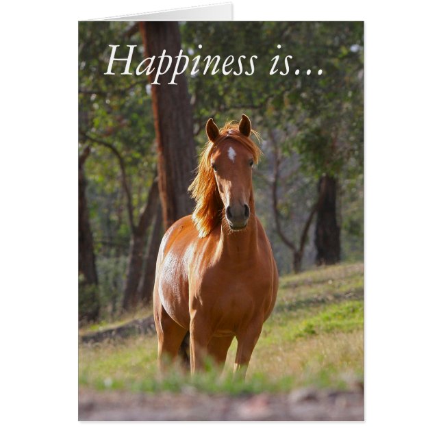 Happiness is spending time with your horse (Front)