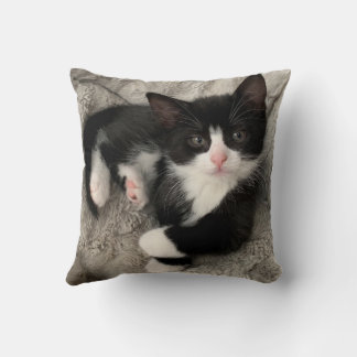 Happiness Kitten Pillow