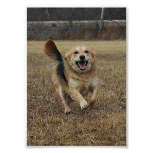 Happiness Photo Print