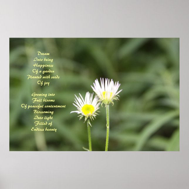 Happiness poem poster (Front)