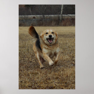 Happiness Poster