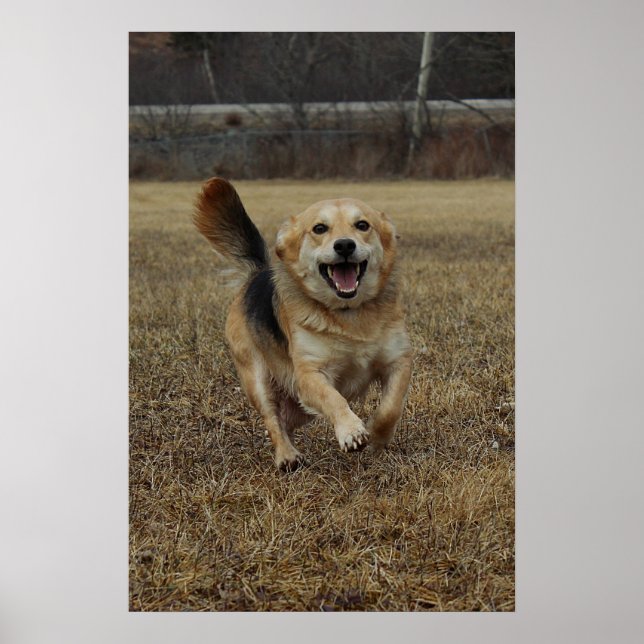 Happiness Poster (Front)