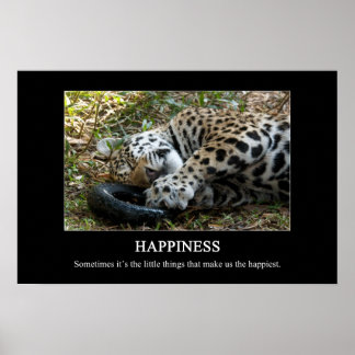 Happiness Poster