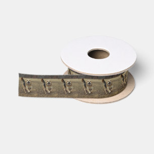 Happiness Satin Ribbon