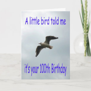 Happy 100th Birthday Flying Seagull bird Card