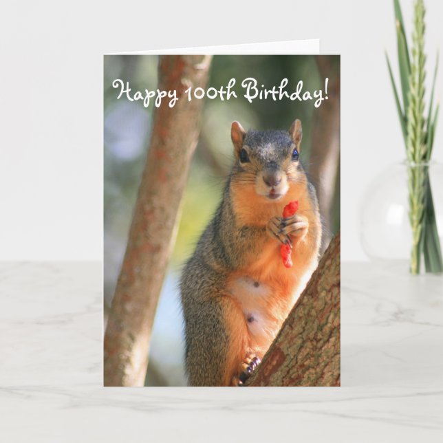 Happy 100th Birthday Squirrel greeting card (Front)