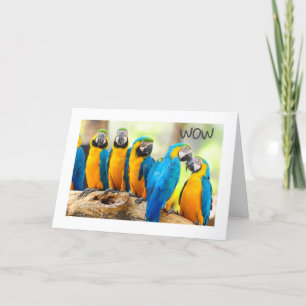 HAPPY **16th** BIRTHDAY  Card