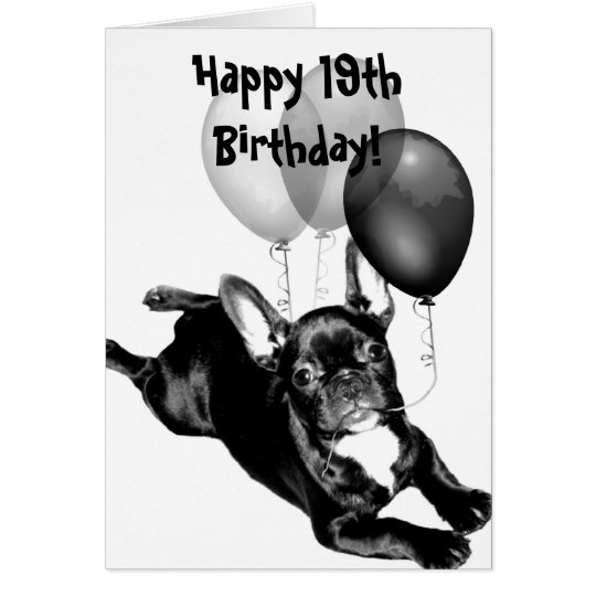 Happy 19th Birthday French Bulldog Greeting Card