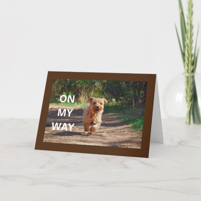 **HAPPY 1st  BIRTHDAY" SPECIAL BABY  Card (Front)