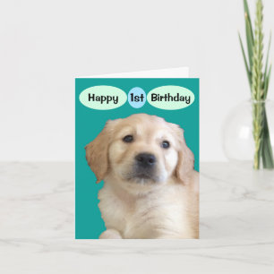 Happy 1st Birthday to a Special Boy Card