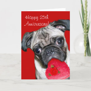 Happy 25th Anniversary pug greeting card