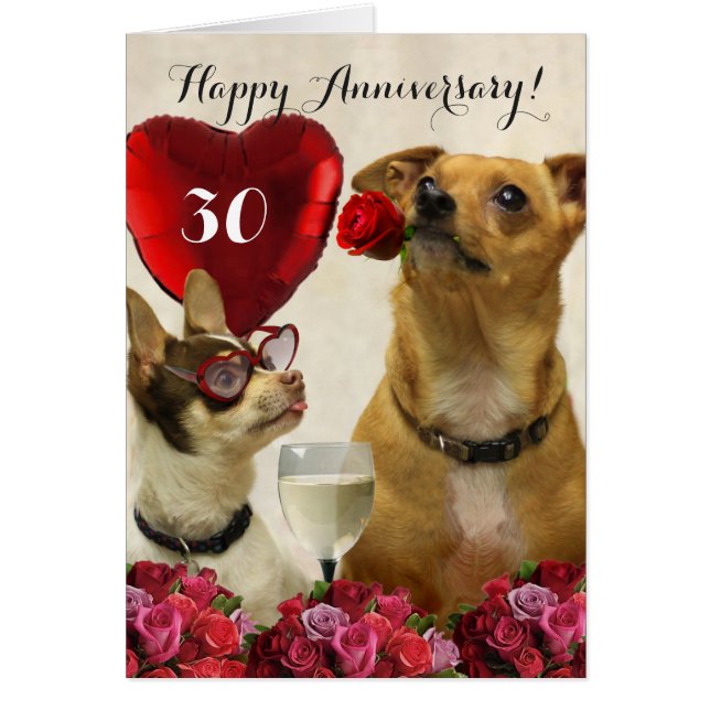 Happy 30th Anniversary chihuahua dogs card (Front)