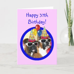 Happy 37th Birthday Boxer Dogs Card