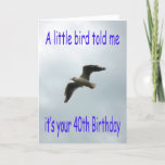 Happy 40th Birthday Flying Seagull bird Card<br><div class="desc">Flying Seagull in a cloudy sky with the bird’s wings out spread and a Birthday greeting.</div>