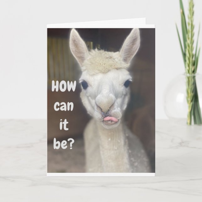 "HAPPY 40th  BIRTHDAY" from WIDE EYED LLAMA Card (Front)