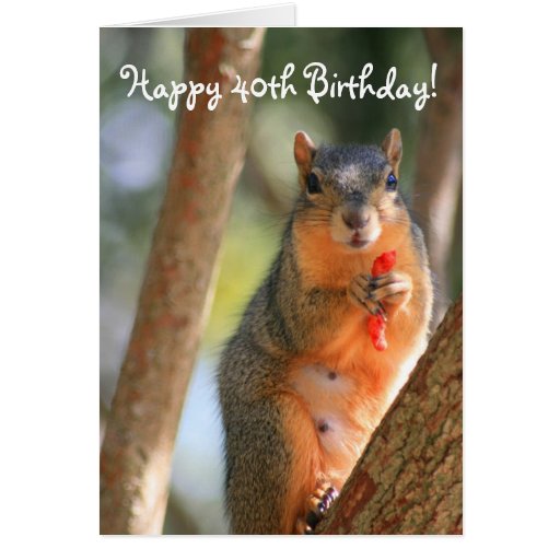 Happy 40th Birthday Squirrel greeting card | Zazzle