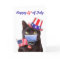 Happy 4th of July Cat in Face Mask Humor