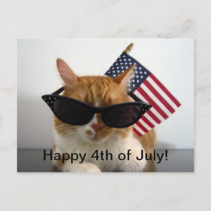 Happy 4th of July Cool Cat with Flag Postcard