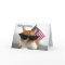 Happy 4th of July - PAWSitively Patriotic Cat
