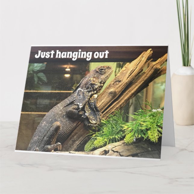 HAPPY "50th" BIRTHDAY TO MY "OLD SIBLING" Card (Front)