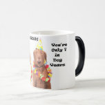 Happy 50th Funny Birthday Dog Mug<br><div class="desc">This morphing mug will give the recipient a good laugh!  "Happy 50th!  You're Only 7 in Dog Years :)"</div>